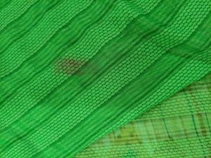 Green Patterned Dupatta