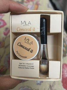 Pot Concealer With Brush