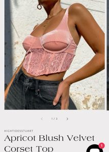 Blush Velvet Corset Top