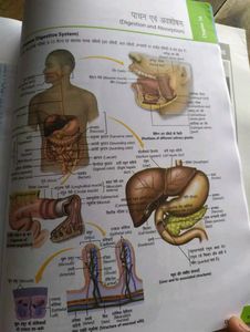 NCERT Fingertips For Hindi Medium