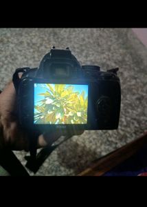 Nikon