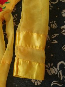 Yellow Floral Embroidered Dress