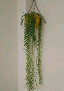 1 Bunch of Artificial Willow Creeper