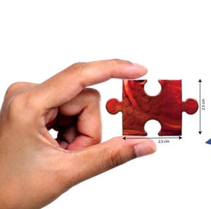 Jigsaw puzzle-