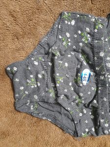 Set Of 4 Brand New Panties
