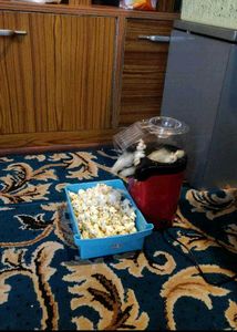Hot Air Popcorn Maker No coin