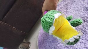 Imported Alligator 🐊 Sound Toy