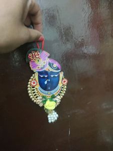 Beautiful Shrinath Nath G Shubh Labh Pair