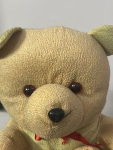 Cute Teddy Bear
