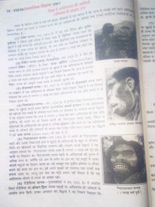 Social Science (Class 9th)
