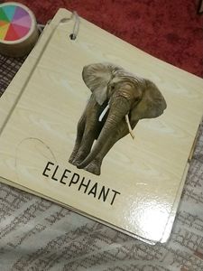 Educational Game For Kids