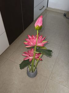Beautiful Lotus Showpiece