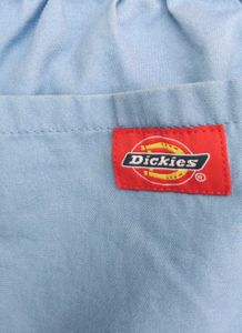 Dickies Shorts