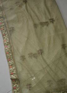 Embroidered parrot lehenga Choli