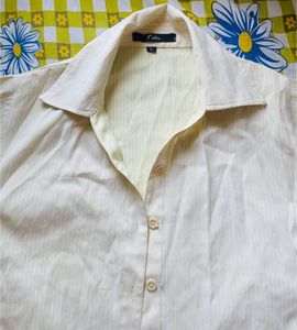 Cute Crop Shirt