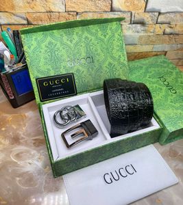 Gucci 2 Buckle Belt First Copy