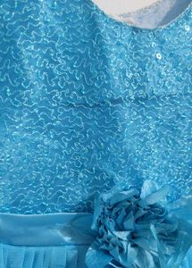 Sparkly Blue Tulle Dress
