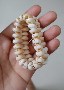 Shell Bracelet