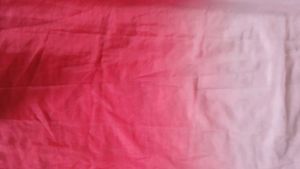 Ombre Dual Tone Organza Saree Without Blouse