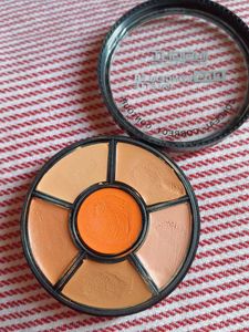 Insight Cosmetics Pro Concealer Palette