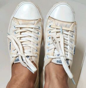 Superdry Athletic Co. Canvas Sneakers