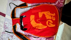 Dog Jacket And Sweater Set