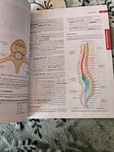 BDC HUMAN ANATOMY VOL 4 neuroanat
