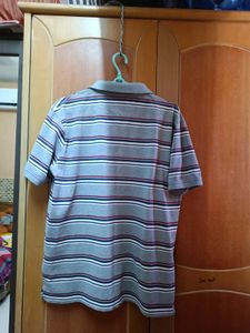 ❤️ 36 Chest Tshirt ❤️