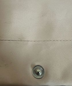 Longchamp XS Bag in Peach/Petal Pink 🍑