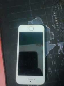 Apple Iphone 5
