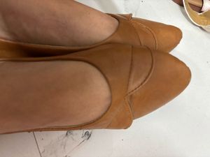 Formal Brown Bellies