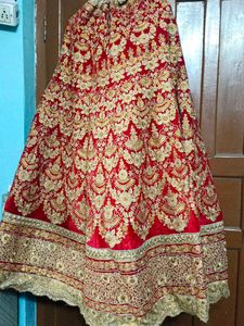 Beautiful Embroidery Sequinned Stitched Lehenga