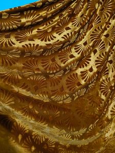 Shiny Shaneel Golden Mustered Color