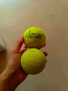 Used Tennis Balls - 8 Pack