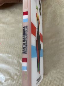 iPhone 12 Santa Barbara Phone Case