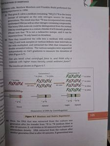 Class 12 Biology Text Book, Ncert
