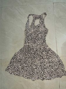 Leopard Print Mini Dress