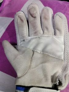 Batting Gloves