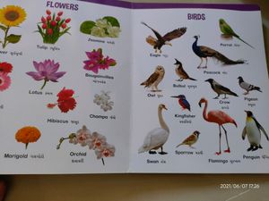 Kids Book