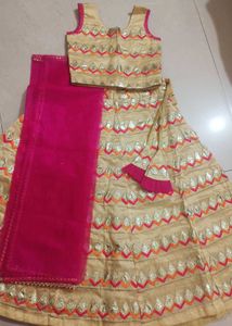 Elegant Lehenga Choli Set