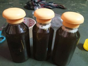 Homemade Secret Herbal Hair Oil