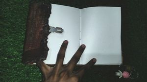 New Dairy With Lock System Privacy 🔏