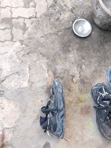 Chapri Shoes
