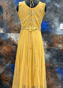 Net Ethnic Gowns Sets