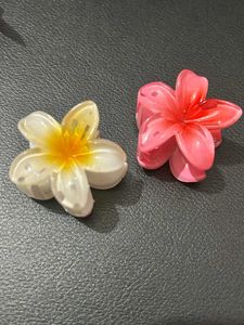 Earrings &amp; Hair Clips Bundle
