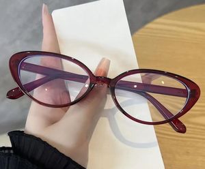 Retro Oval Burgundy Glasses