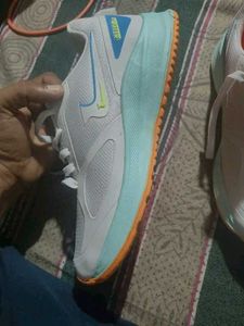 Birde Running Shoes 2 Colour Available