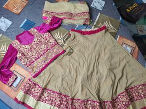 Embroidered Lehenga Choli Set