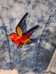 Denim Bird Top