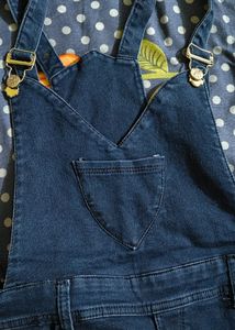 Girls Party Wear Dungaree
